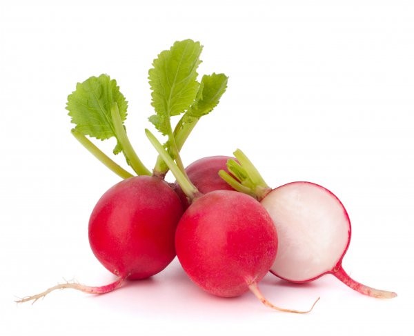 Small,Garden,Radish,Isolated,On,White,Background,Cutout