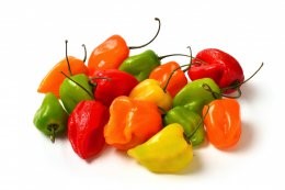 Colorful,Hot,Small,Chili,Peppers,Isolated,In,Studio,On,White,