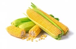 Corn,Isolated,On,White,Background