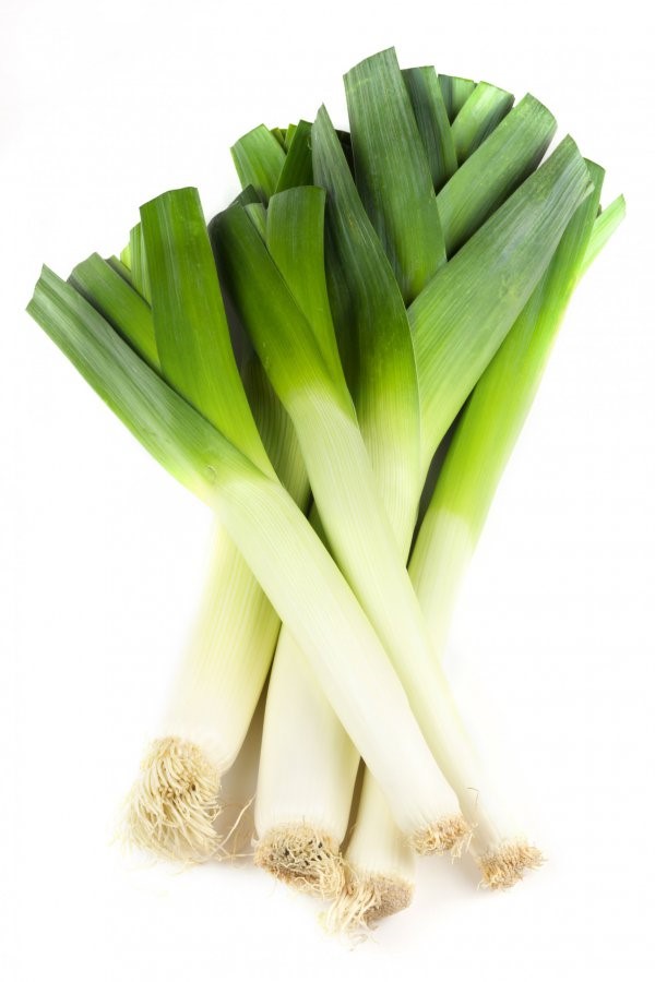 Fresh,Leek