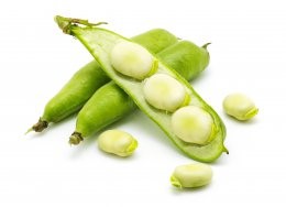 Broad,Bean,Pods,And,Seeds,On,White,Background