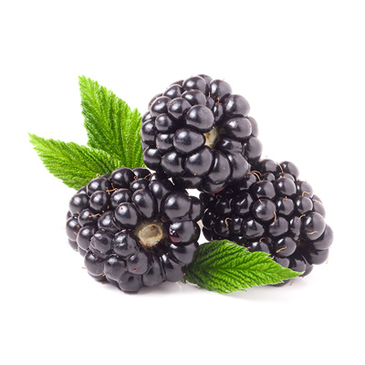 shutterstock_517469758