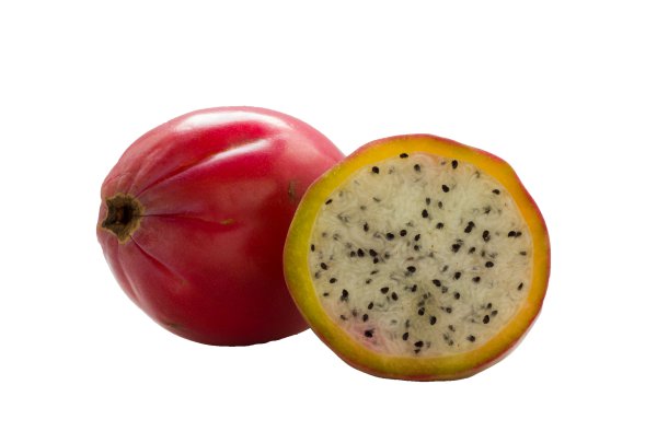 Beautiful,Photo,Of,Fruit,Apple,Cactus,On,A,White,Background