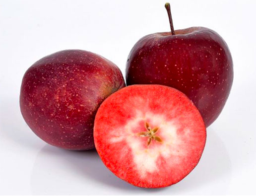 תפוח עץ אדום